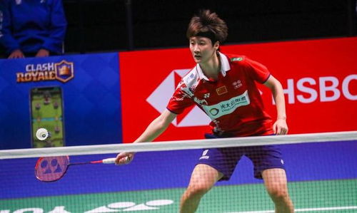 泛的视角来 泛的视角来