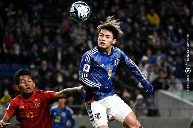 现出了极佳 现出了极佳